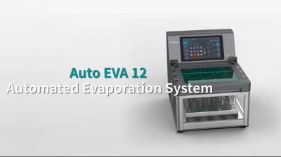 RayKol Auto EVA 12 Automatizado Sistema de Evaporação de Nitrogênio