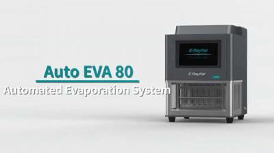 RayKol Auto EVA 80 Automatizado Sistema de Evaporação de Nitrogênio